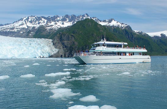 Glacier Dinner Cruise