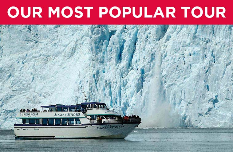 kenai fjords tour promo code