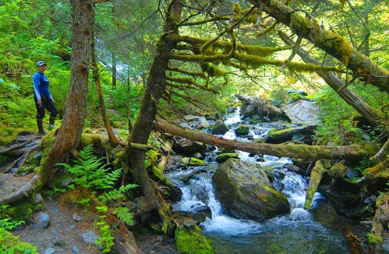 Tonsina Point kayak tour & Explore: Things to do around Seward