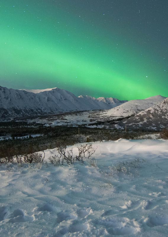 Aurora Borealis in winter