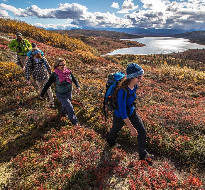 The Denali Backcountry Lodge Experience Activities Amenities