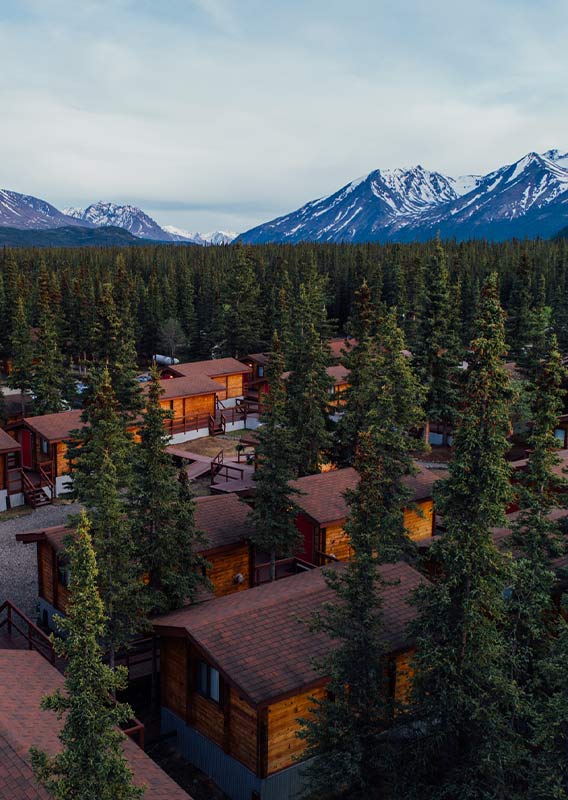 Cabins nestled between tall conifers and a view towards mountains.