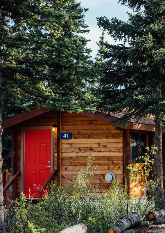 A wood cabin with a red door surrounded by trees.