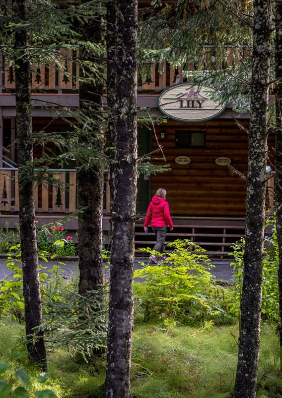 Seward Windsong Lodge nestled among trees.