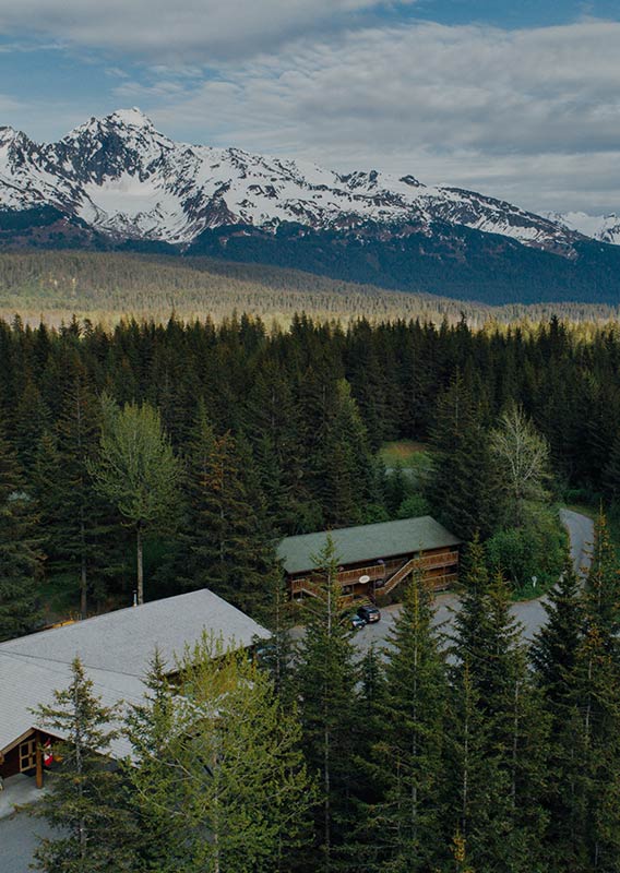 Above view of Seward Windsong Lodge, surrounded by trees and a mountain in the background