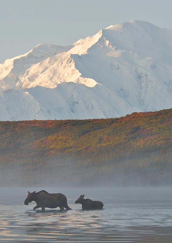 Alaska Travel, Denali & Kenai Fjords Experts | Alaska ...