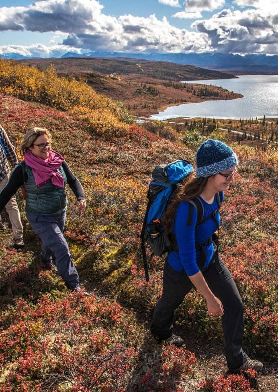 denali national park hiking