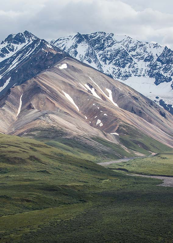 Denali National Park Month by Month: What to Expect When in Alaska