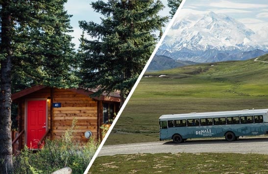 Denali Cabins: Base Camp to Adventure Near Denali National ...