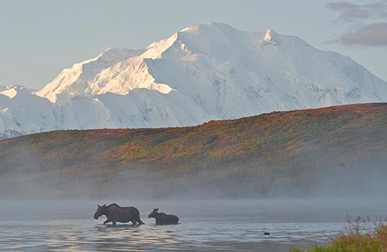 Hotel - Lodge - Cruise - Travel Deals | Alaska Collection