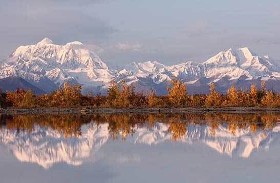 White mountains with orange trees are reflected in still water