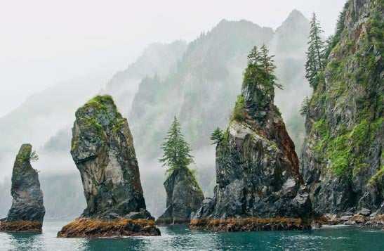 Rock pillars covered in moss and trees rise from the turquoise sea