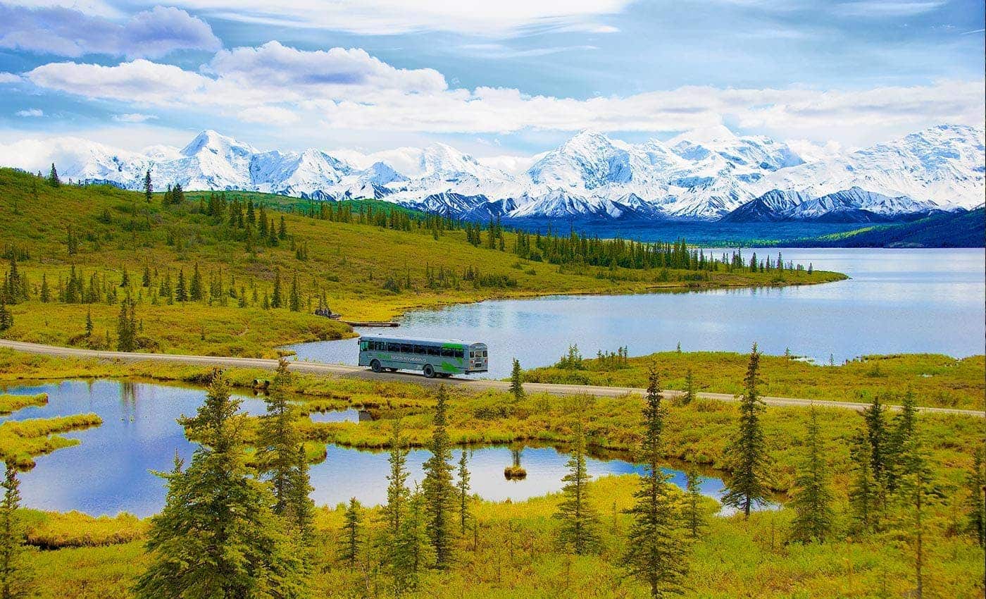 Fairbanks & Denali Backcountry Northern Lights Escape - Alaska