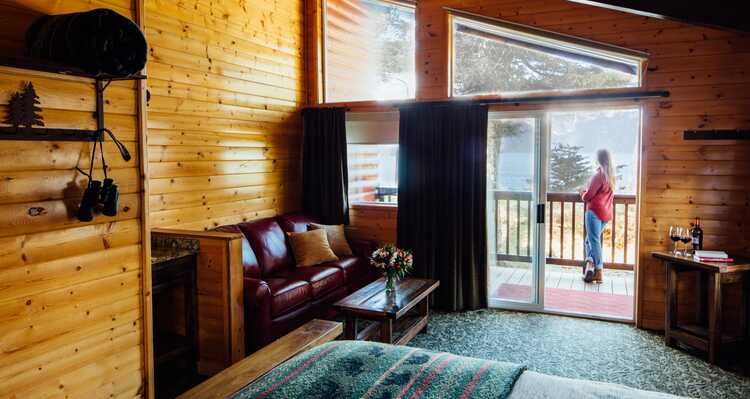 A view from a wooden cabin out to a deck.