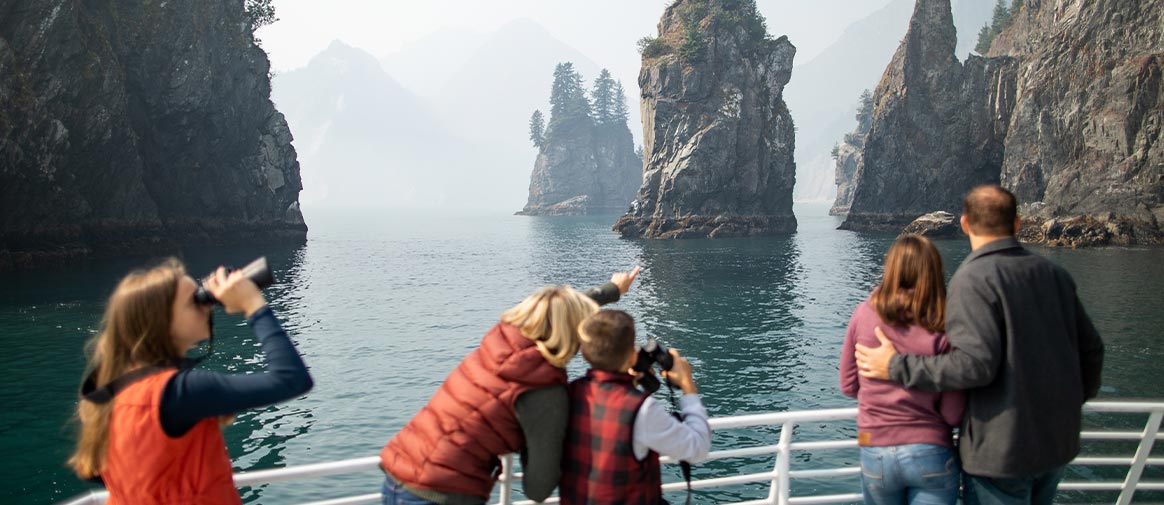 Choose Your Cruise: The Ultimate Kenai Fjords Tours Guide