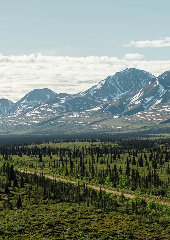 Denali Backcountry landscape