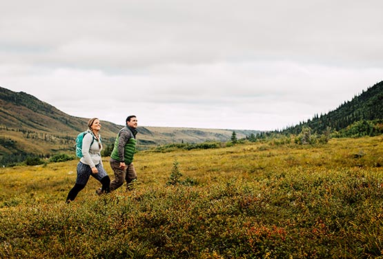 Two people walk through a landscape of low-growing shrubs.